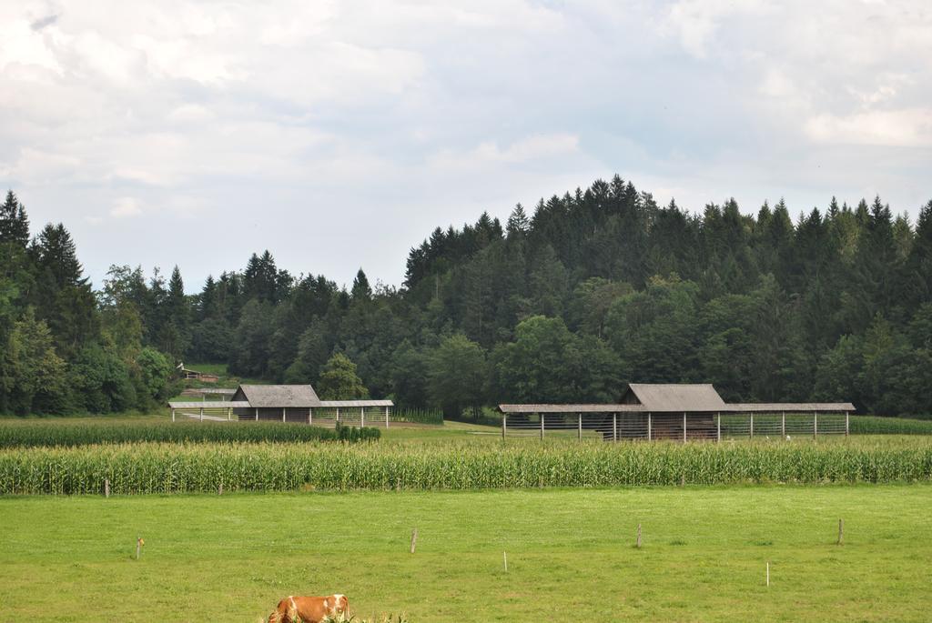 Farm Holidays Povsin Bled Exterior foto